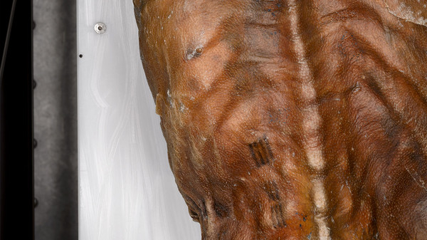 Détail de deux tatouages sur le corps de la momie d’Ötzi, les chercheurs en ont dénombré une soixante sur des zones spécifiques.